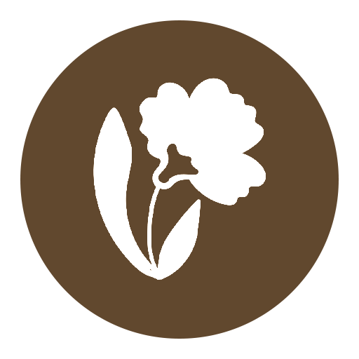 What is Mongra Saffron?